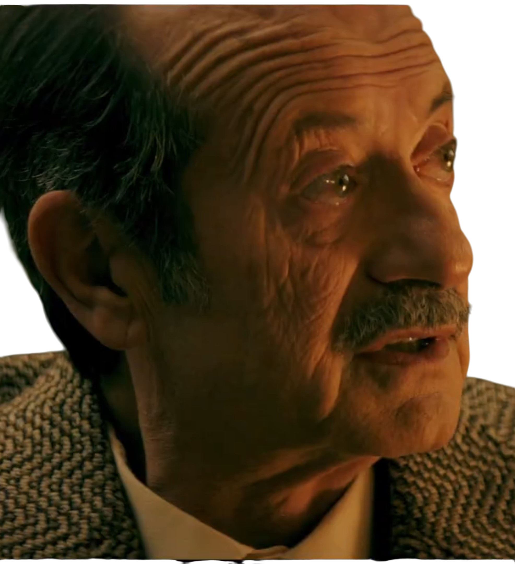 Rocco<br>Papaleo